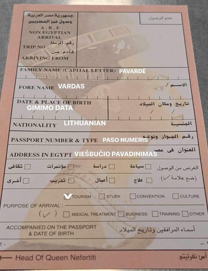 Egyptian migration card