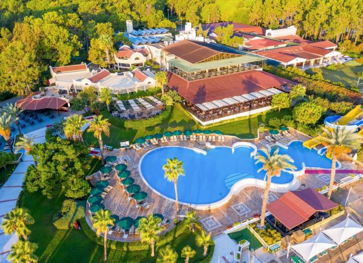 Gypsophila Club Marine